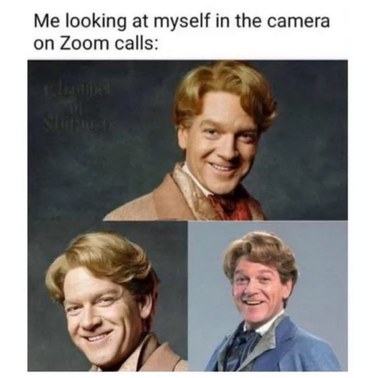 Me looking at myself in the camera on Zoom calls: hamber Shimust