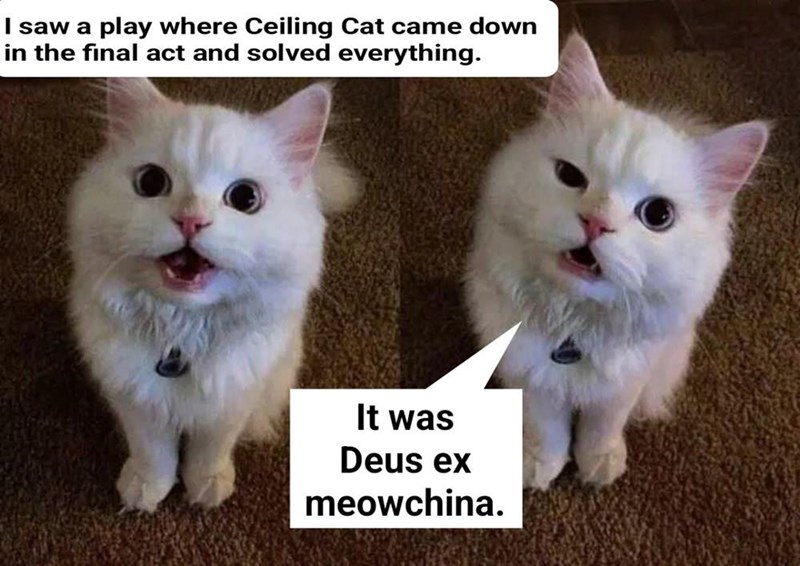 I saw a play where Ceiling Cat came down in the final act and solved everything. It was Deus ex meowchina.