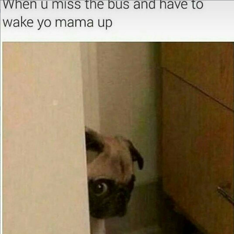 When u miss the bus and have to wake yo mama up