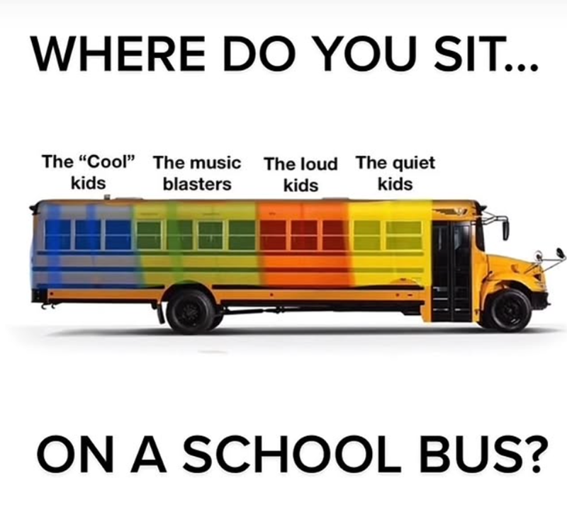 WHERE DO YOU SIT... The "Cool" The music The loud The quiet kids blasters kids kids ON A SCHOOL BUS?