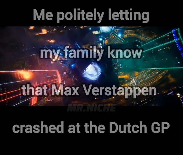 Me politely letting my family know that Max Verstappen. MR.NICHE crashed at the Dutch GP