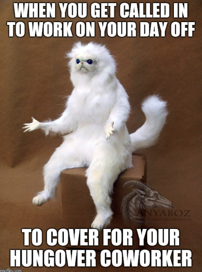 WHEN YOU GET CALLED IN TO WORK ON YOUR DAY OFF ANYABOZ WWW NYAROZ DEVIANTART.COM TO COVER FOR YOUR HUNGOVER COWORKER imaflip.com