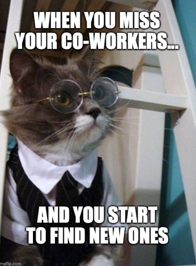 WHEN YOU MISS YOUR CO-WORKERS... mgflip.com AND YOU START TO FIND NEW ONES