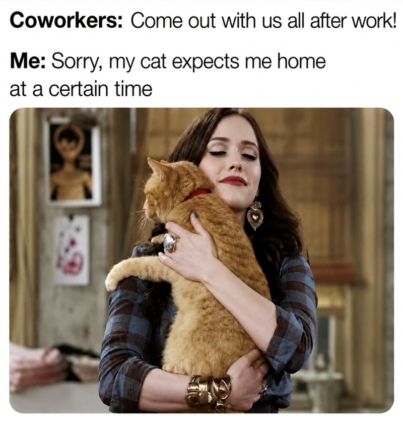 Coworkers: Come out with us all after work! Me: Sorry, my cat expects me home at a certain time