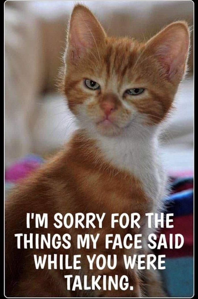 I'M SORRY FOR THE THINGS MY FACE SAID WHILE YOU WERE TALKING.