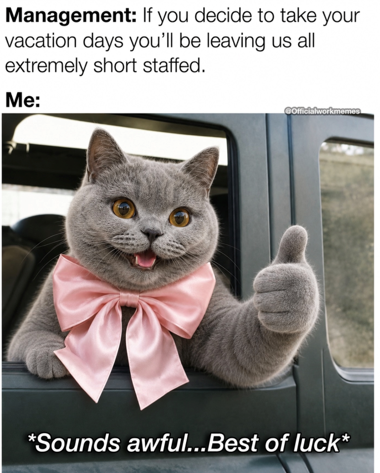 Management: If you decide to take your vacation days you'll be leaving us all extremely short staffed. Me: @Officialworkmemes *Sounds awful...Best of luck*