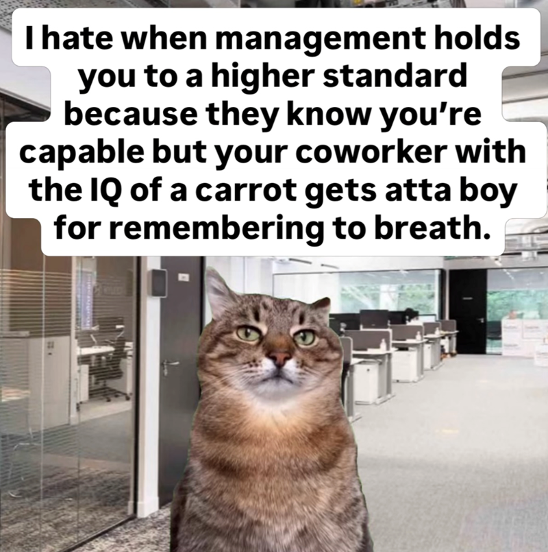 I hate when management holds you to a higher standard because they know you're capable but your coworker with the IQ of a carrot gets atta boy for remembering to breath.