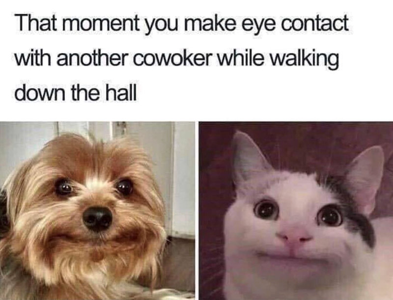 That moment you make eye contact with another cowoker while walking down the hall