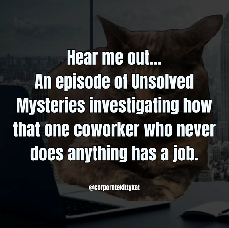 alt Hear me out... An episode of Unsolved Mysteries investigating how that one coworker who never does anything has a job. @corporatekittykat