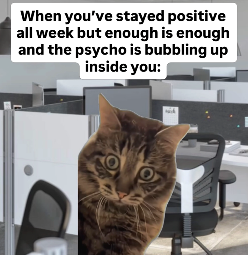 When you've stayed positive all week but enough is enough and the psycho is bubbling up inside you: Had