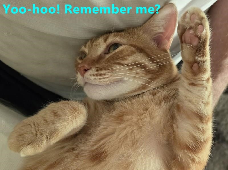 Yoo-hoo! Remember me?