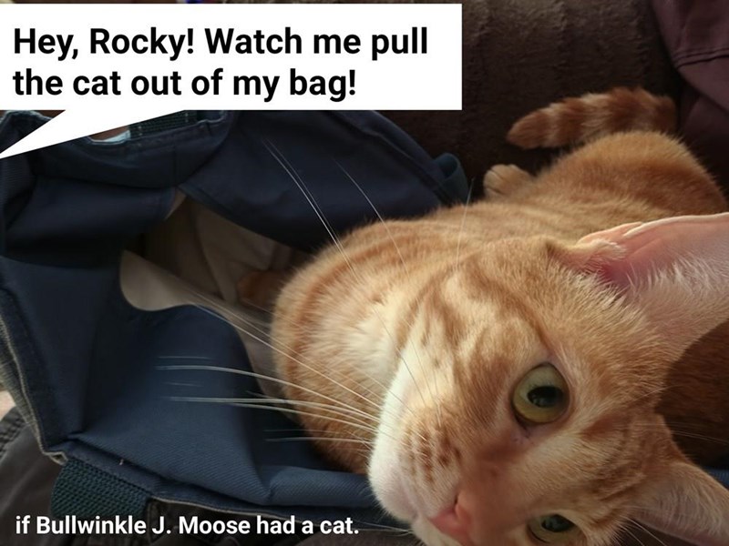 Hey, Rocky! Watch me pull the cat out of my bag! if Bullwinkle J. Moose had a cat.