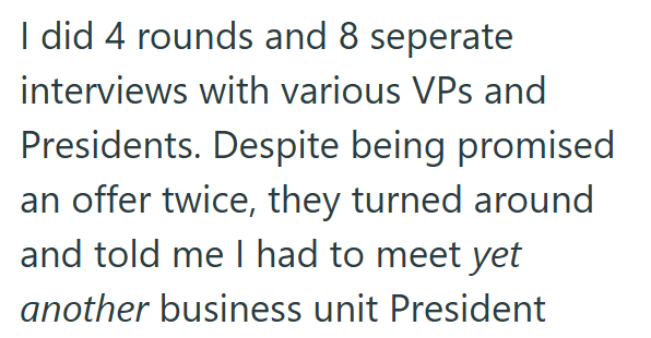 I did 4 rounds and 8 seperate interviews with various VPs and Presidents. Despite being promised an offer twice, they turned around and told me I had to meet yet another business unit President
