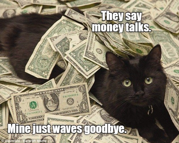 022890478DD VORGARY Mine just waves goodbye. Cashcats Barcroft Media THE UNITED ST 7 G 022890478 D AD ONE DOLLAR THE EXID They say money talks.