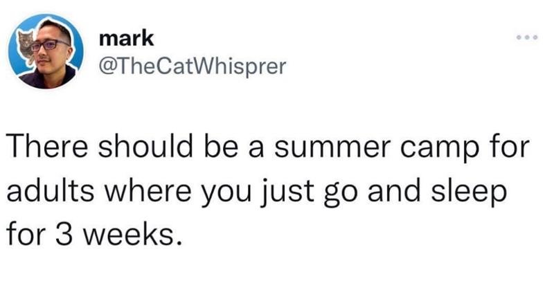 mark @TheCatWhisprer There should be a summer camp for adults where you just go and sleep for 3 weeks.
