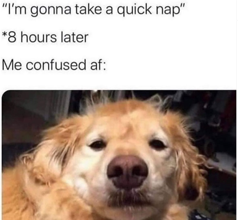 "I'm gonna take a quick nap" *8 hours later Me confused af: