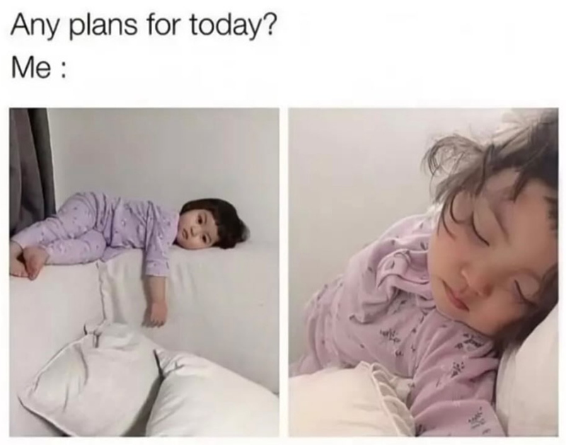 Any plans for today? Me: