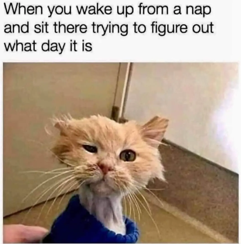 When you wake up from a nap and sit there trying to figure out what day it is