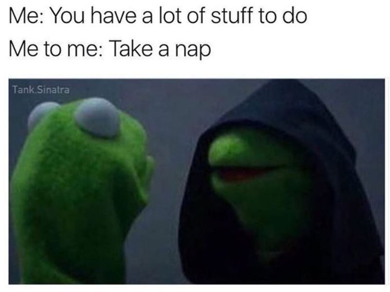 Me: You have a lot of stuff to do Me to me: Take a nap Tank Sinatra