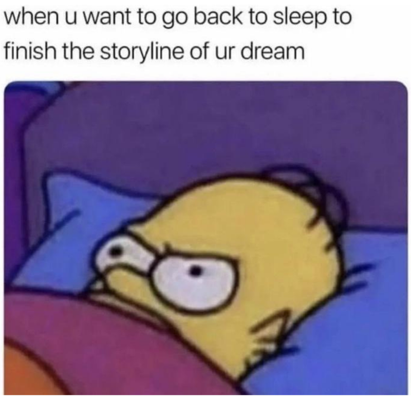 when u want to go back to sleep to finish the storyline of ur dream