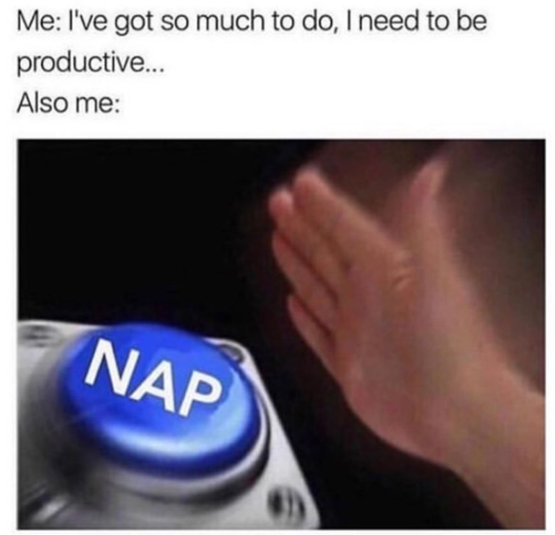 Me: I've got so much to do, I need to be productive... Also me: NAP