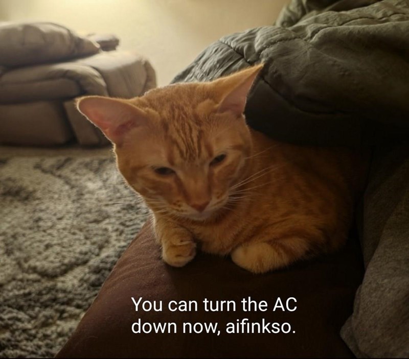 You can turn the AC down now, aifinkso.