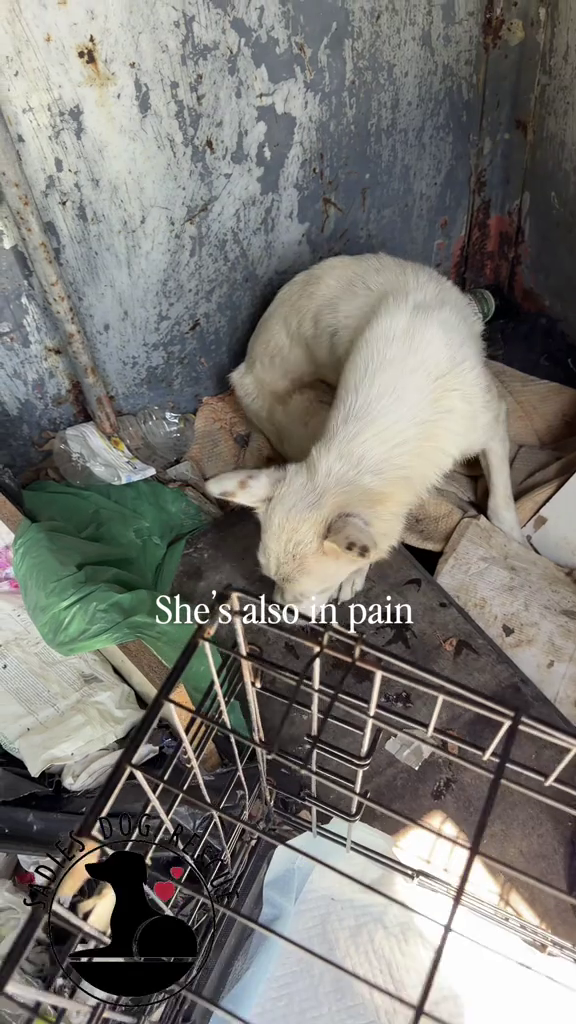 She's also in pain