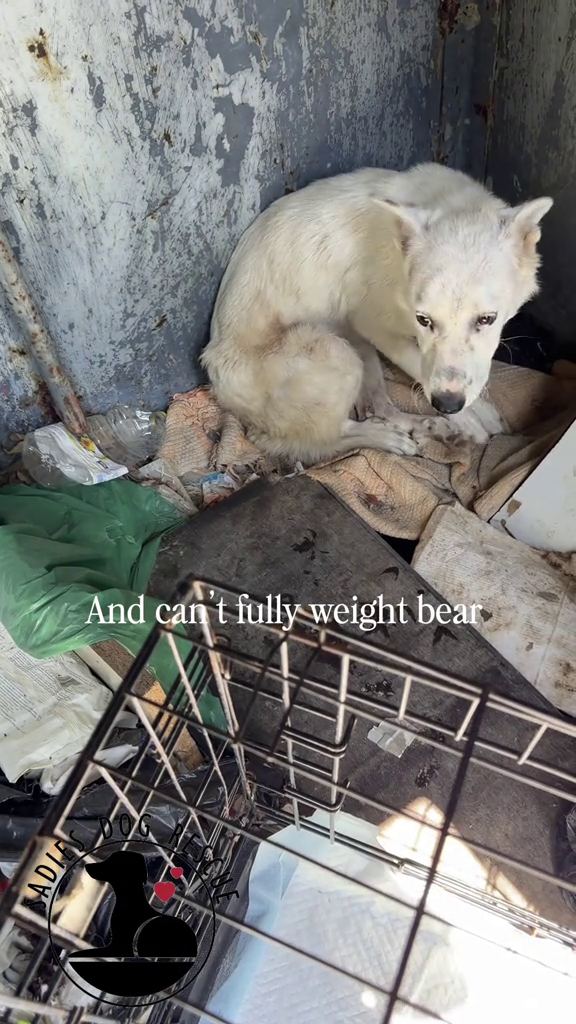 ADIE And can't fully weight bear