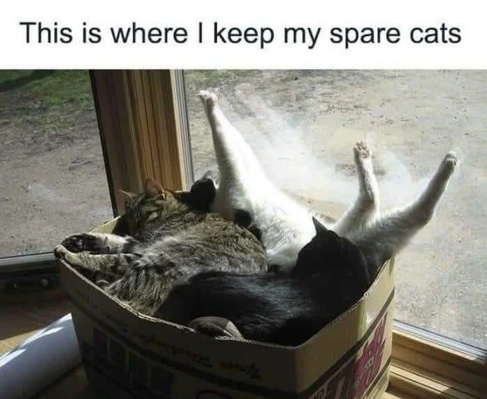 This is where I keep my spare cats