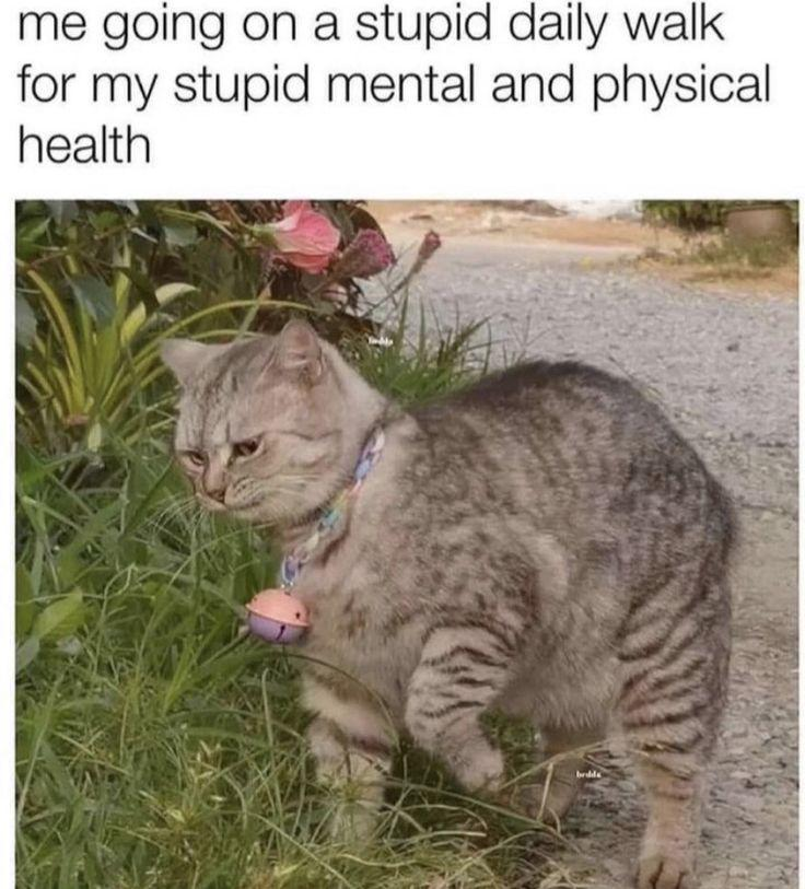 me going on a stupid daily walk for my stupid mental and physical health bedde