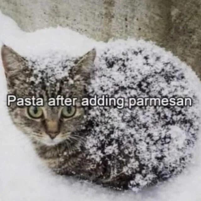 Pasta after adding parmesan
