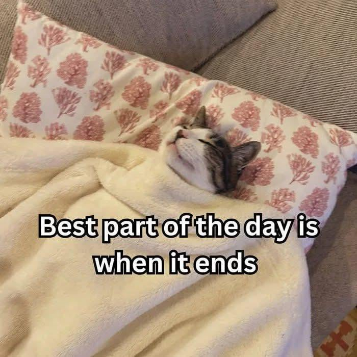 Best part of the day is when it ends