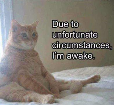 Due to unfortunate circumstances, I'm awake.