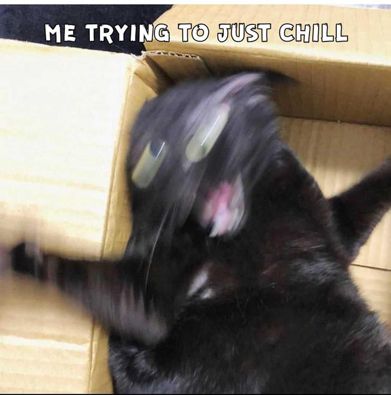 ME TRYING TO JUST CHILL