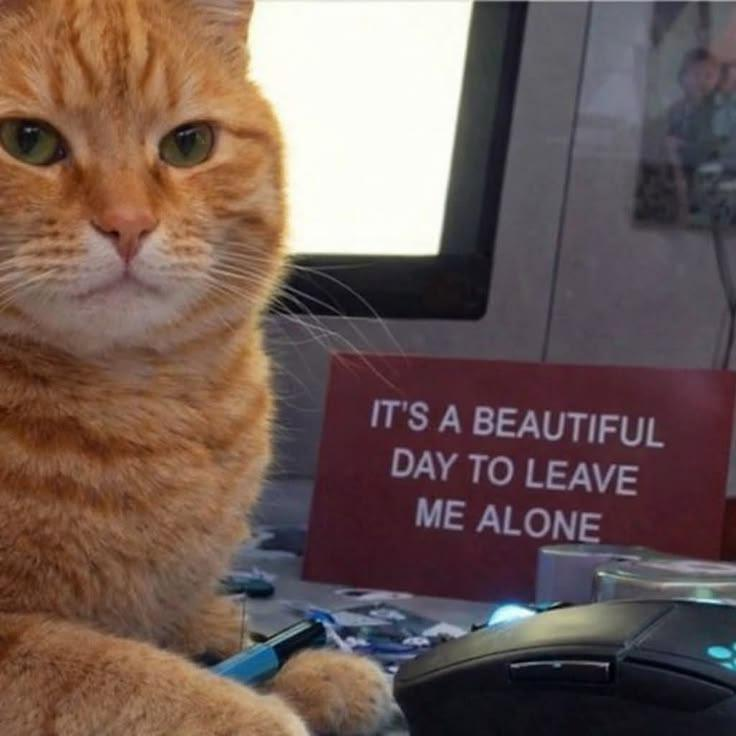 IT'S A BEAUTIFUL DAY TO LEAVE ME ALONE