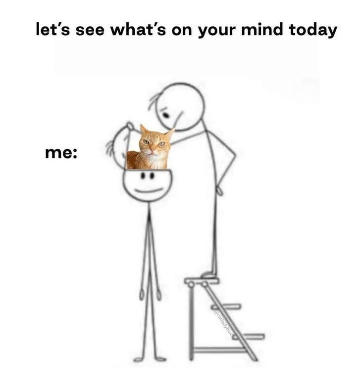 let's see what's on your mind today me: @catladybox