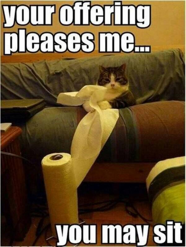 your offering pleases me... you may sit
