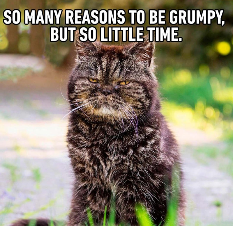 SO MANY REASONS TO BE GRUMPY, BUT SO LITTLE TIME.