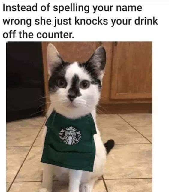 Instead of spelling your name wrong she just knocks your drink off the counter.