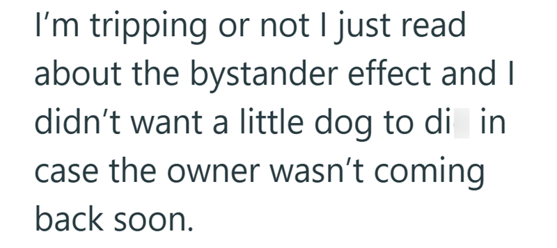 I'm tripping or not I just read about the bystander effect and I didn't want a little dog to di in case the owner wasn't coming back soon.
