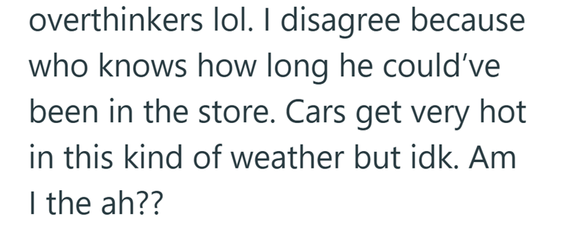 overthinkers lol. I disagree because who knows how long he could've been in the store. Cars get very hot in this kind of weather but idk. Am I the ah??