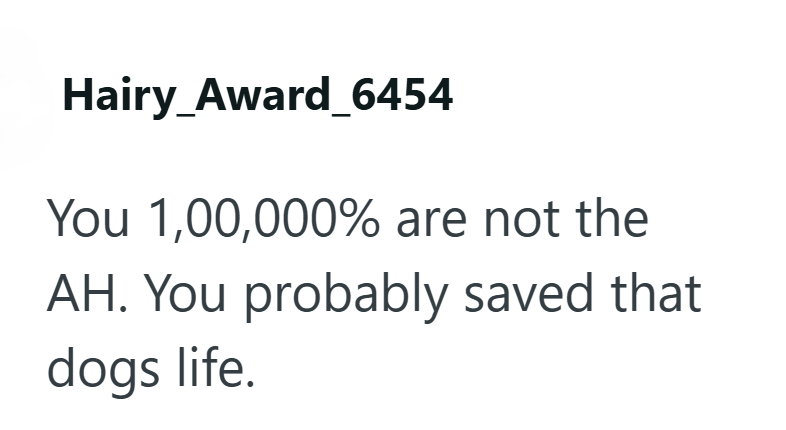 Hairy_Award_6454 You 1,00,000% are not the AH. You probably saved that dogs life.