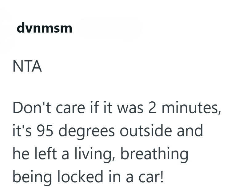 dvnmsm NTA Don't care if it was 2 minutes, it's 95 degrees outside and he left a living, breathing being locked in a car!