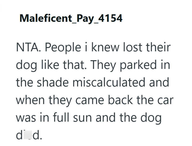 Maleficent_Pay_4154 NTA. People i knew lost their dog like that. They parked in the shade miscalculated and when they came back the car was in full sun and the dog. d_d.