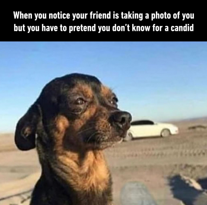 When you notice your friend is taking a photo of you but you have to pretend you don't know for a candid