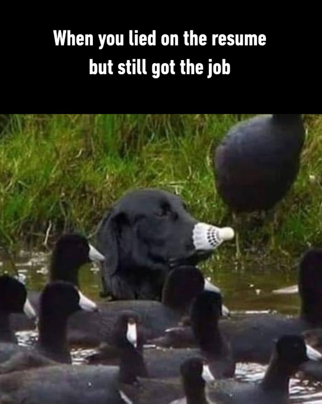 When you lied on the resume but still got the job