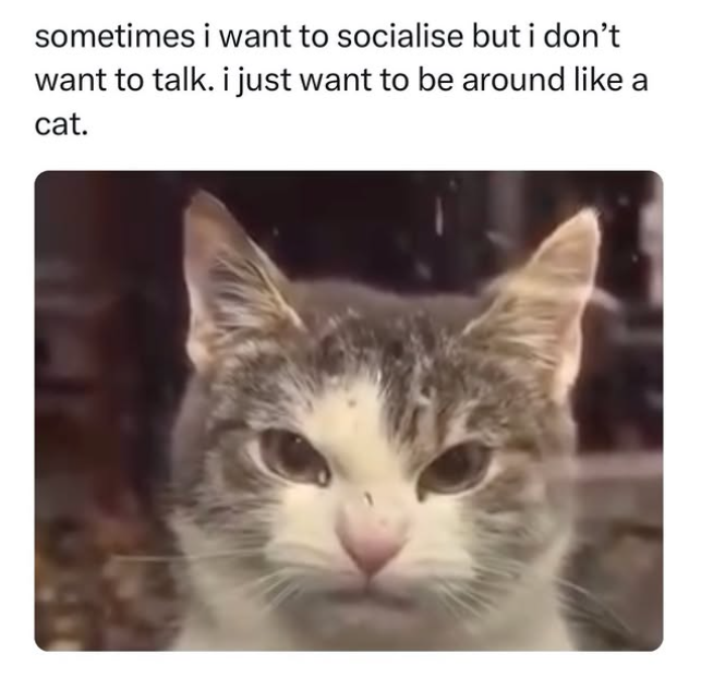 sometimes i want to socialise but i don't want to talk. i just want to be around like a cat.