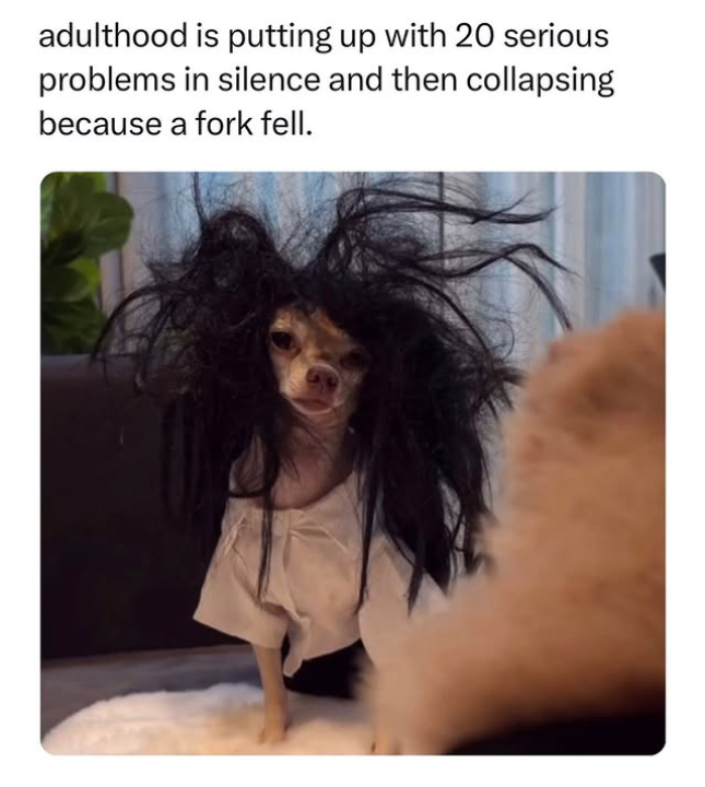 adulthood is putting up with 20 serious problems in silence and then collapsing because a fork fell.