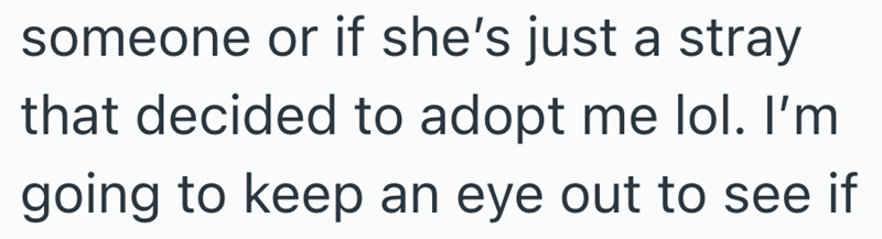 someone or if she's just a stray that decided to adopt me lol. I'm going to keep an eye out to see if