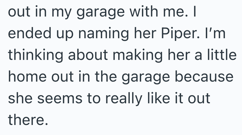 out in my garage with me. I ended up naming her Piper. I'm thinking about making her a little. home out in the garage because she seems to really like it out there.